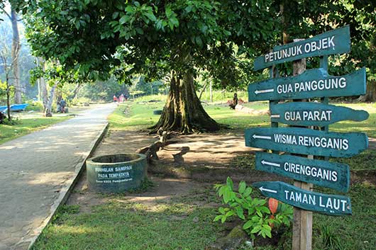 Hasil gambar untuk taman wisata cagar alam pangandaran